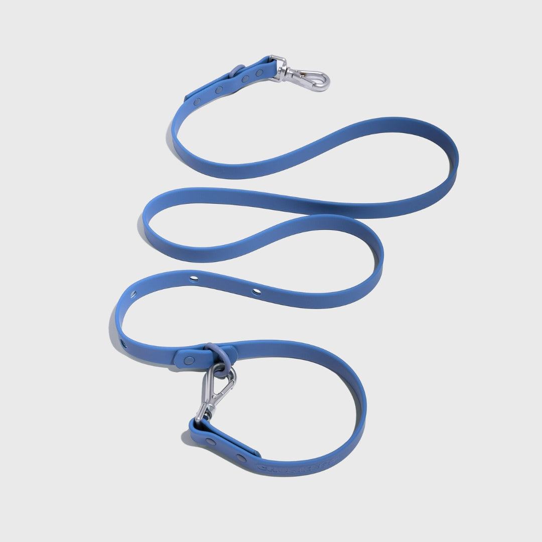 Customizable Double-Ended Dog Lead
