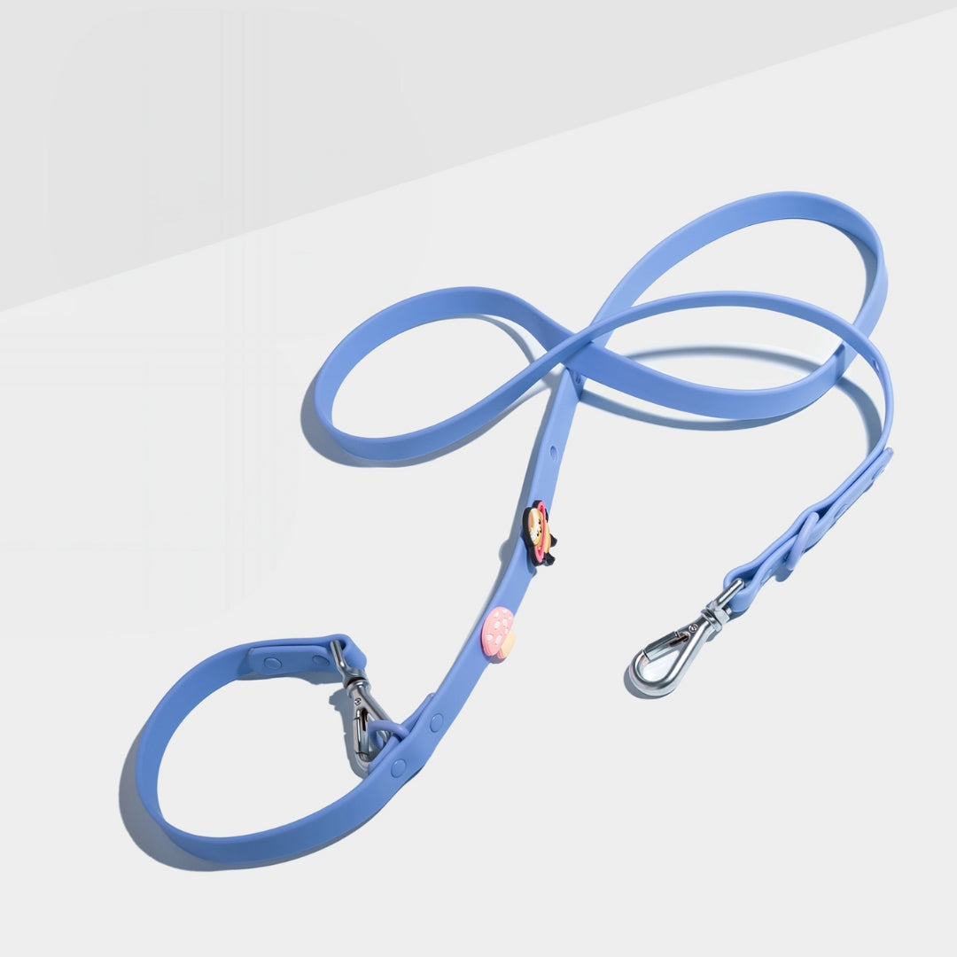 Customizable Dog Lead with 2 Charms – Double-Ended