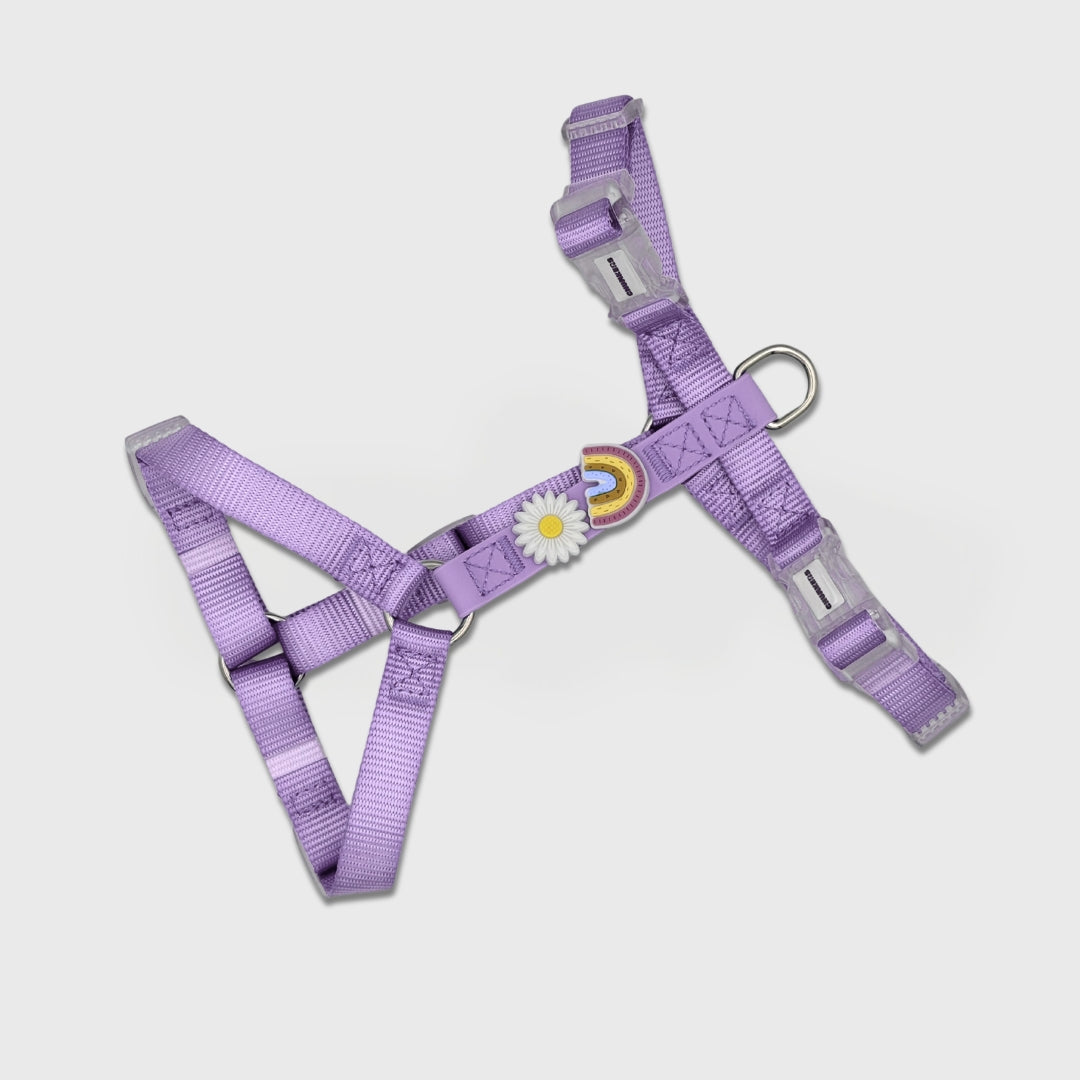 Adjustable Dog Harness with Charms