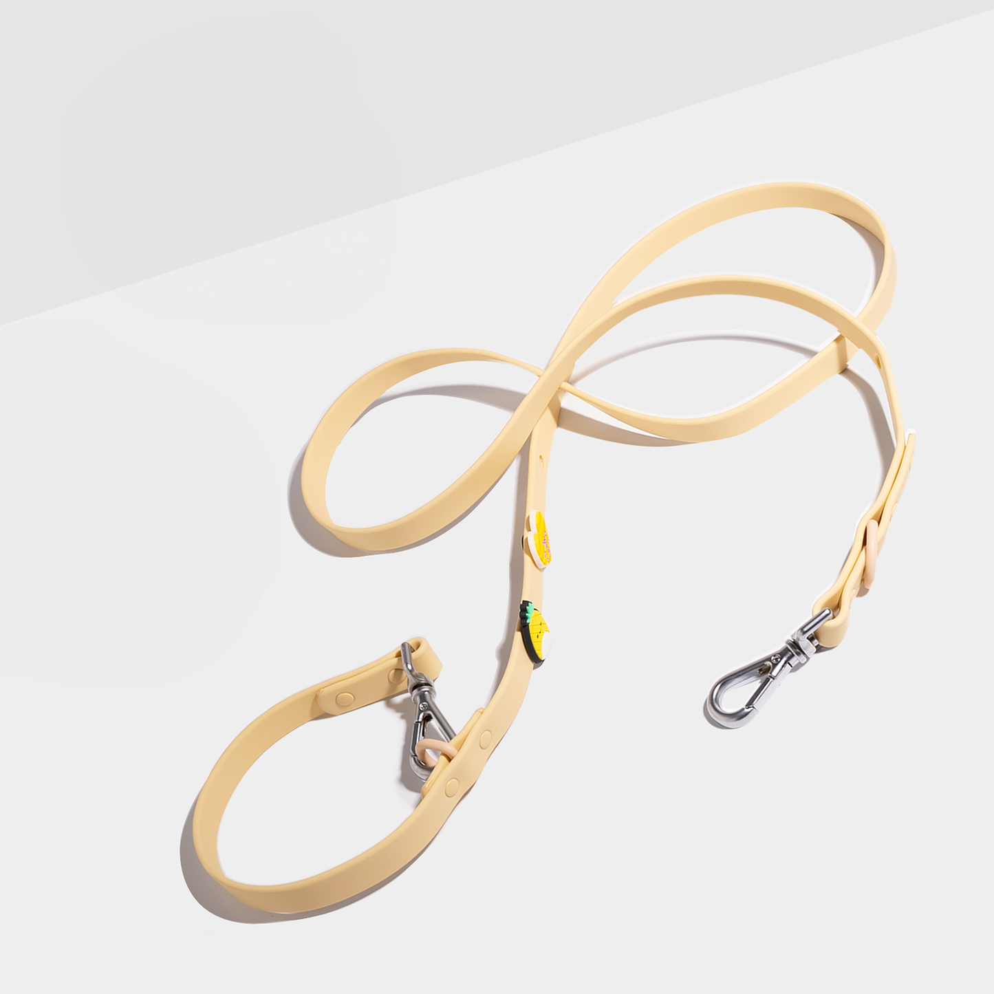 Customizable Dog Lead with 2 Charms – Double-Ended