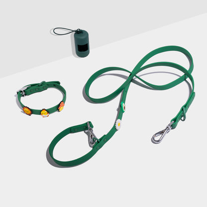 Bundle - Dog Collar, Lead, 5 Charms and Poop Bag Holder