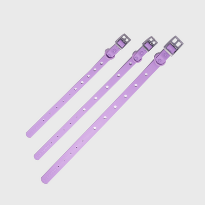 Customizable Dog Collar