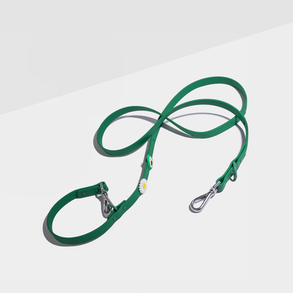 Customizable Dog Lead with 2 Charms – Double-Ended