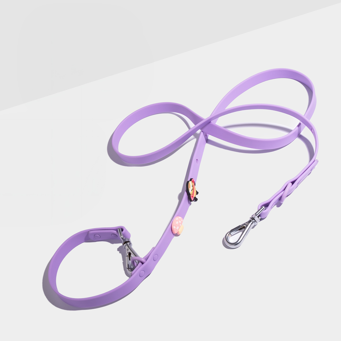 Customizable Dog Lead with 2 Charms – Double-Ended