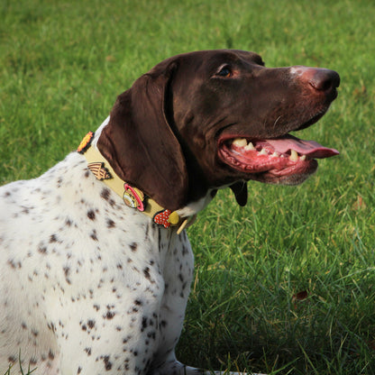Customizable Dog Collar With 3 Charms
